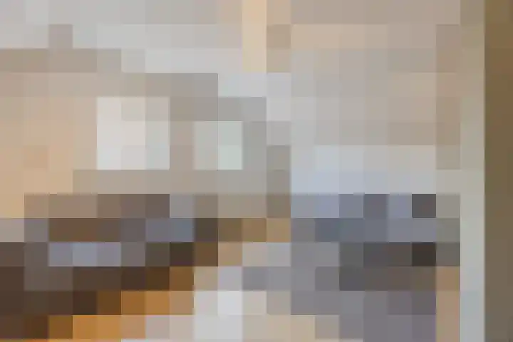 Avensteinstraat 5 Heeswijk-Dinther thumbnail 31