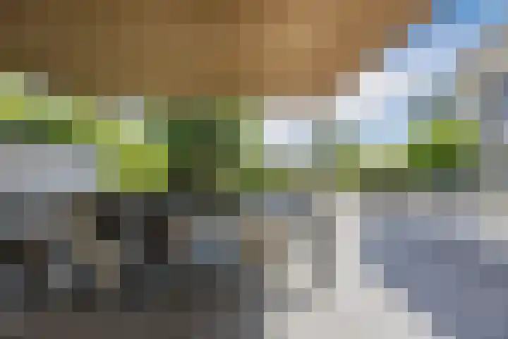 Avensteinstraat 5 Heeswijk-Dinther thumbnail 41