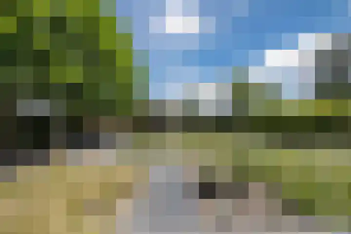 Avensteinstraat 5 Heeswijk-Dinther thumbnail 45