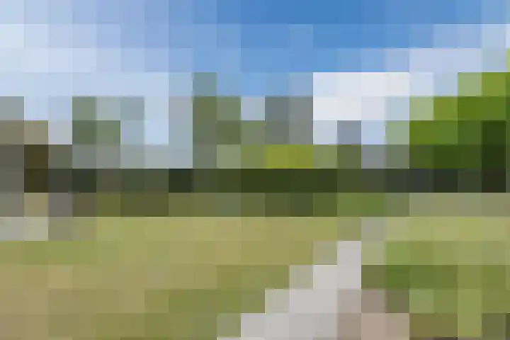 Avensteinstraat 5 Heeswijk-Dinther thumbnail 46