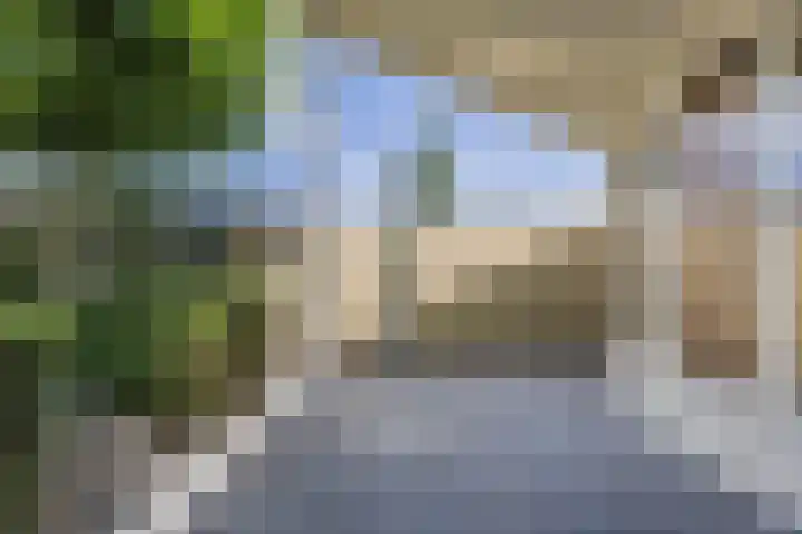 Avensteinstraat 5 Heeswijk-Dinther thumbnail 48