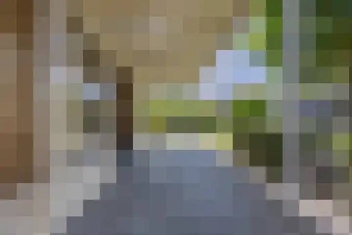 Avensteinstraat 5 Heeswijk-Dinther thumbnail 49