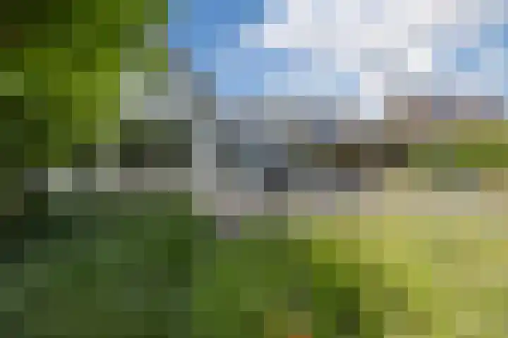 Avensteinstraat 5 Heeswijk-Dinther thumbnail 56