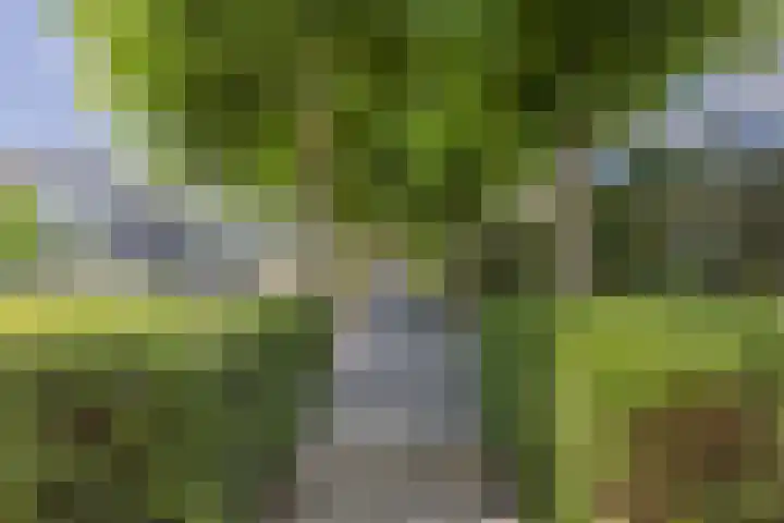 Avensteinstraat 5 Heeswijk-Dinther thumbnail 58