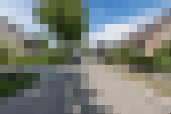 Avensteinstraat 5 Heeswijk-Dinther thumbnail 60