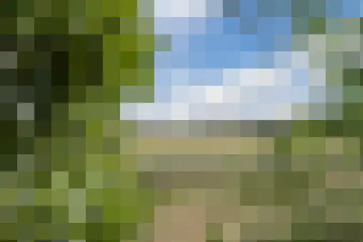 Avensteinstraat 5 Heeswijk-Dinther thumbnail 61
