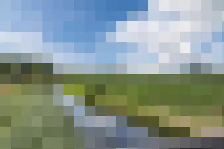 Avensteinstraat 5 Heeswijk-Dinther thumbnail 62