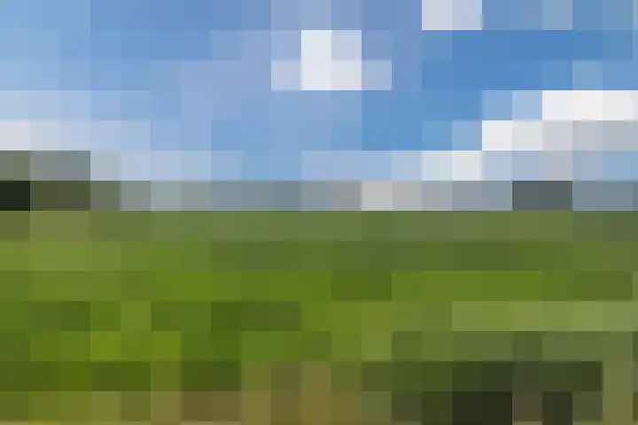 Avensteinstraat 5 Heeswijk-Dinther thumbnail 63