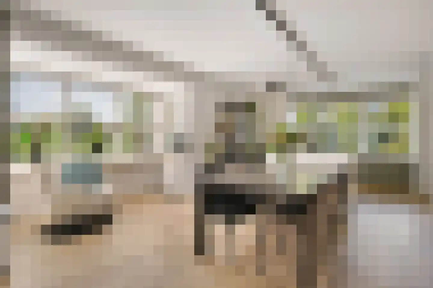 Aventurijndreef 2 Emmen thumbnail 11