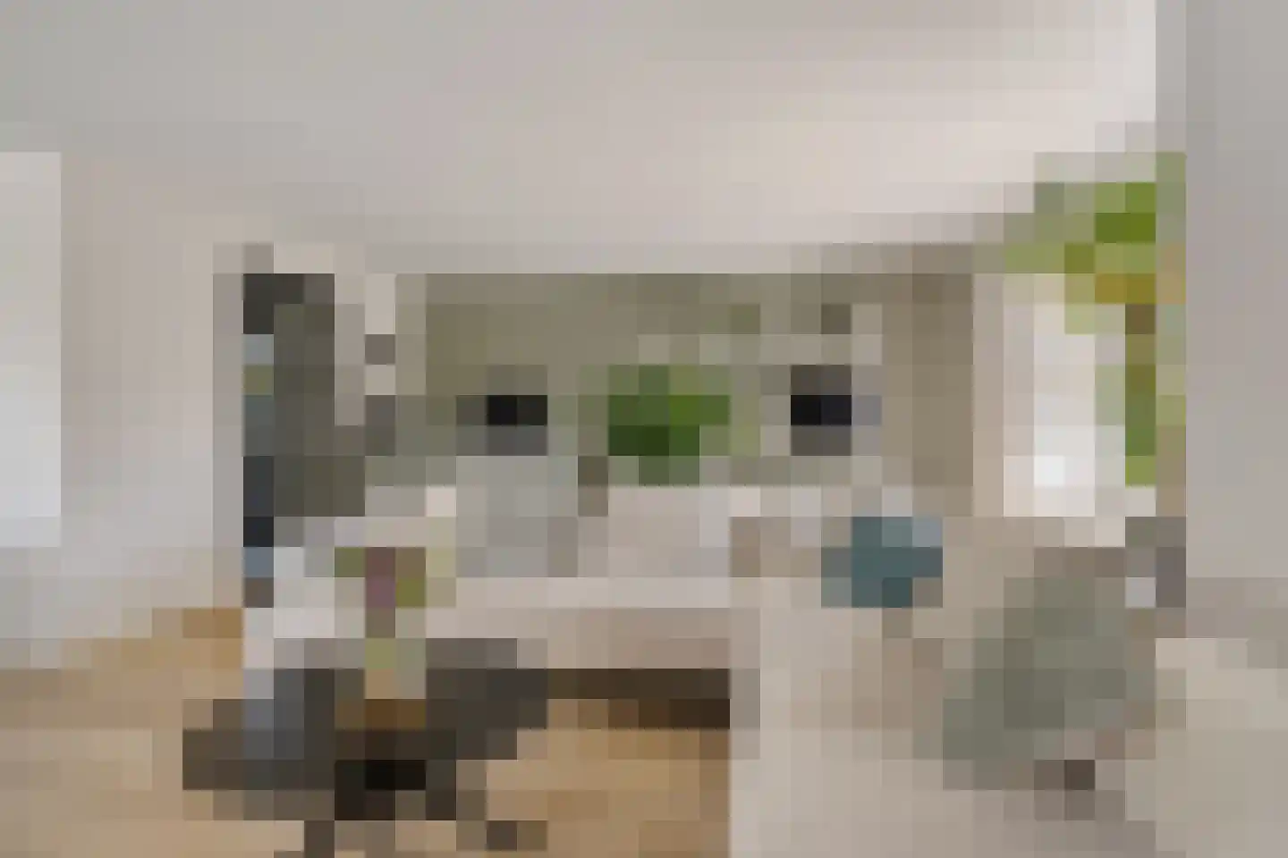Aventurijndreef 2 Emmen thumbnail 12