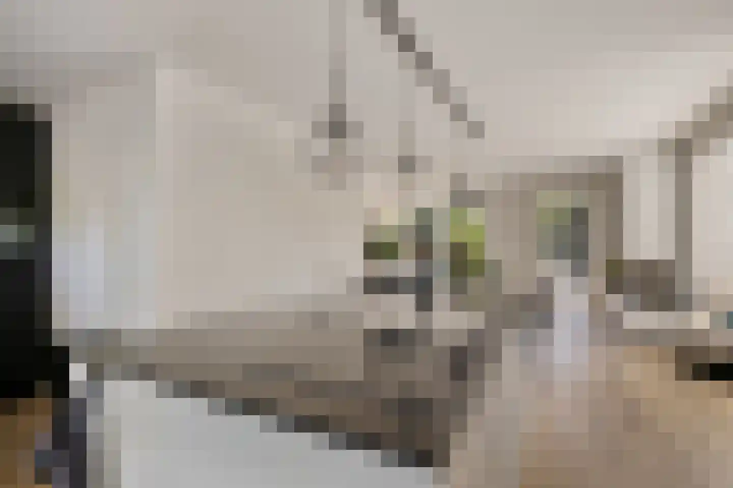 Aventurijndreef 2 Emmen thumbnail 13