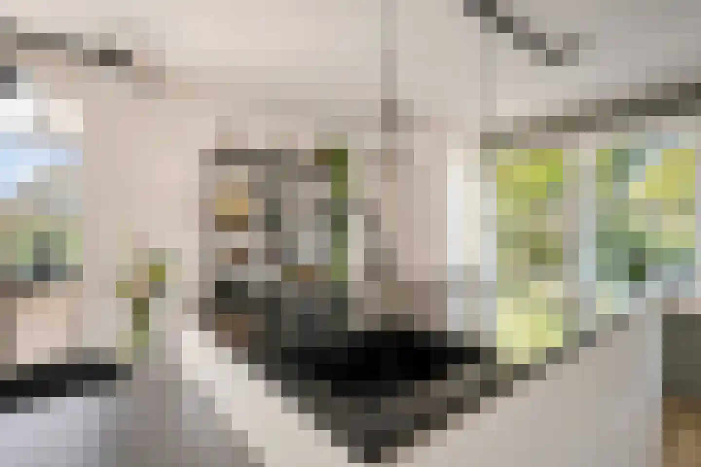 Aventurijndreef 2 Emmen thumbnail 16