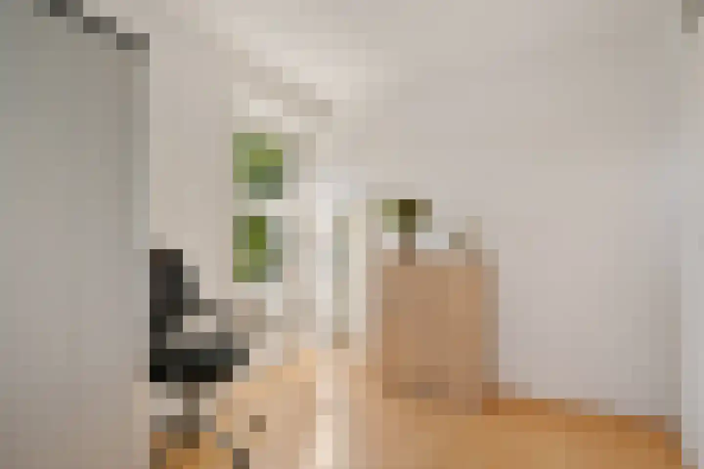 Aventurijndreef 2 Emmen thumbnail 20