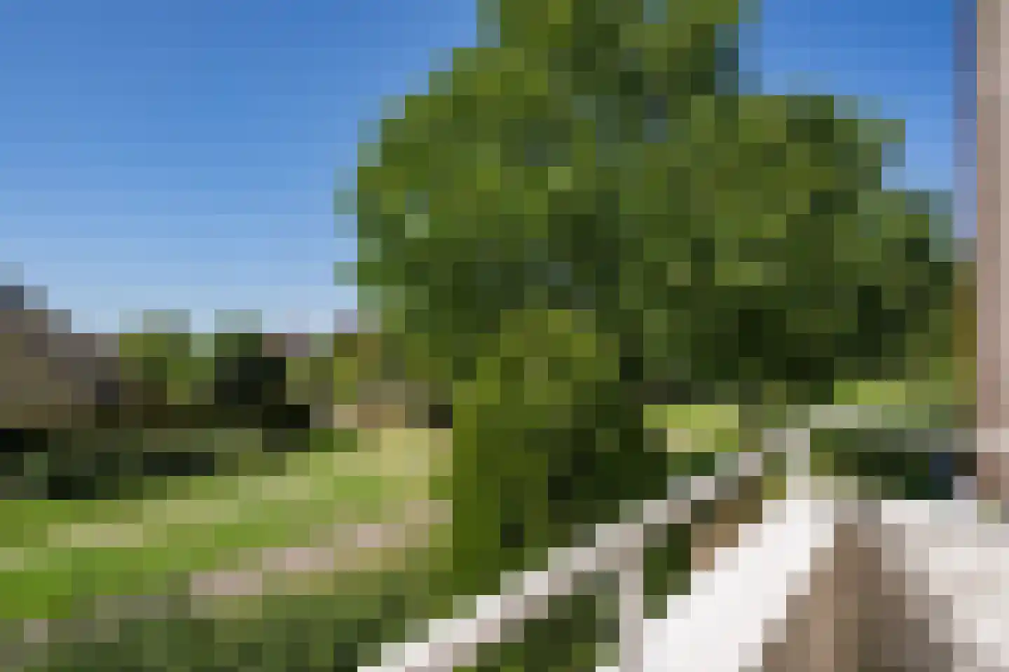 Aventurijndreef 2 Emmen thumbnail 21