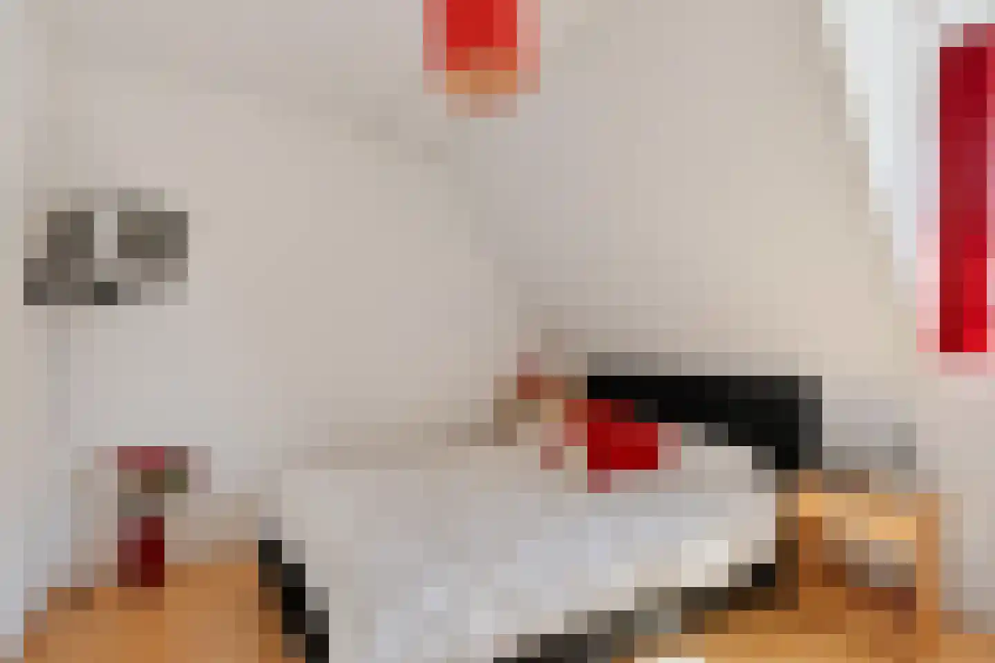 Aventurijndreef 2 Emmen thumbnail 22