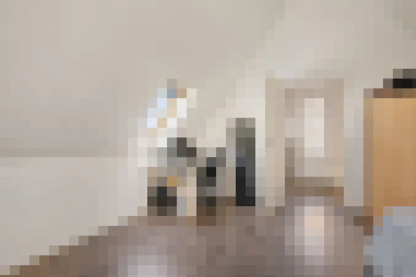 Aventurijndreef 2 Emmen thumbnail 30