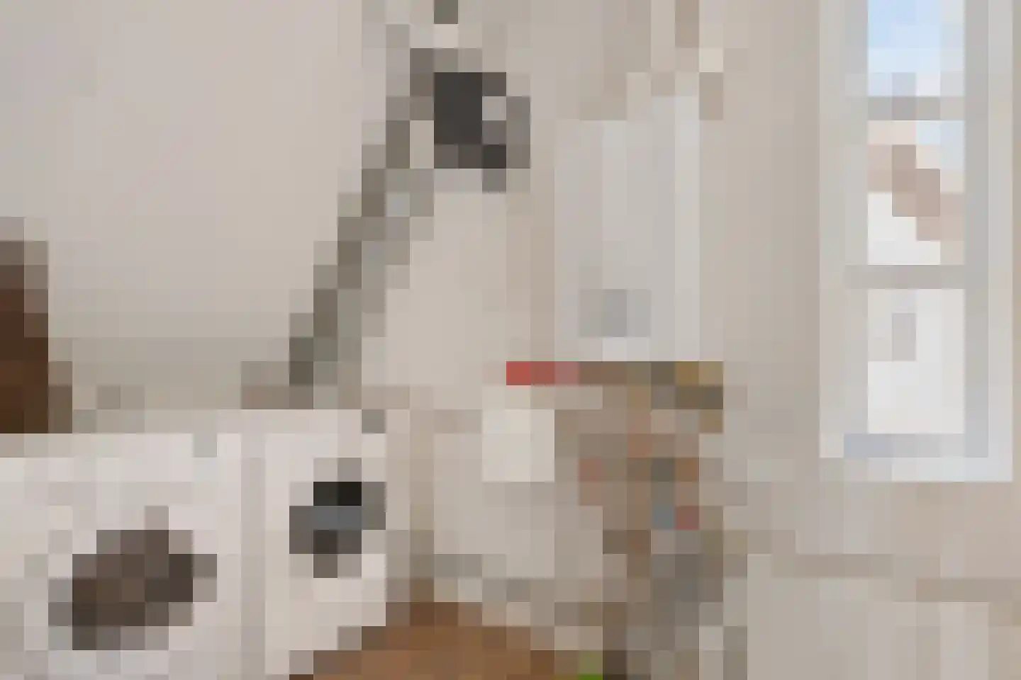 Aventurijndreef 2 Emmen thumbnail 32