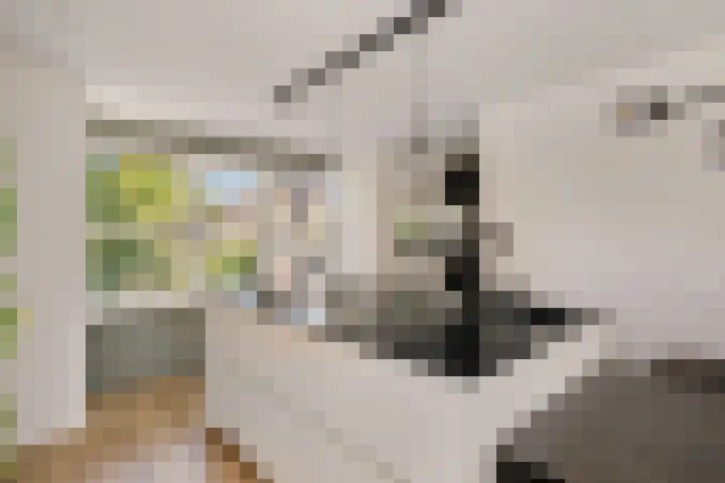 Aventurijndreef 2 Emmen thumbnail 4