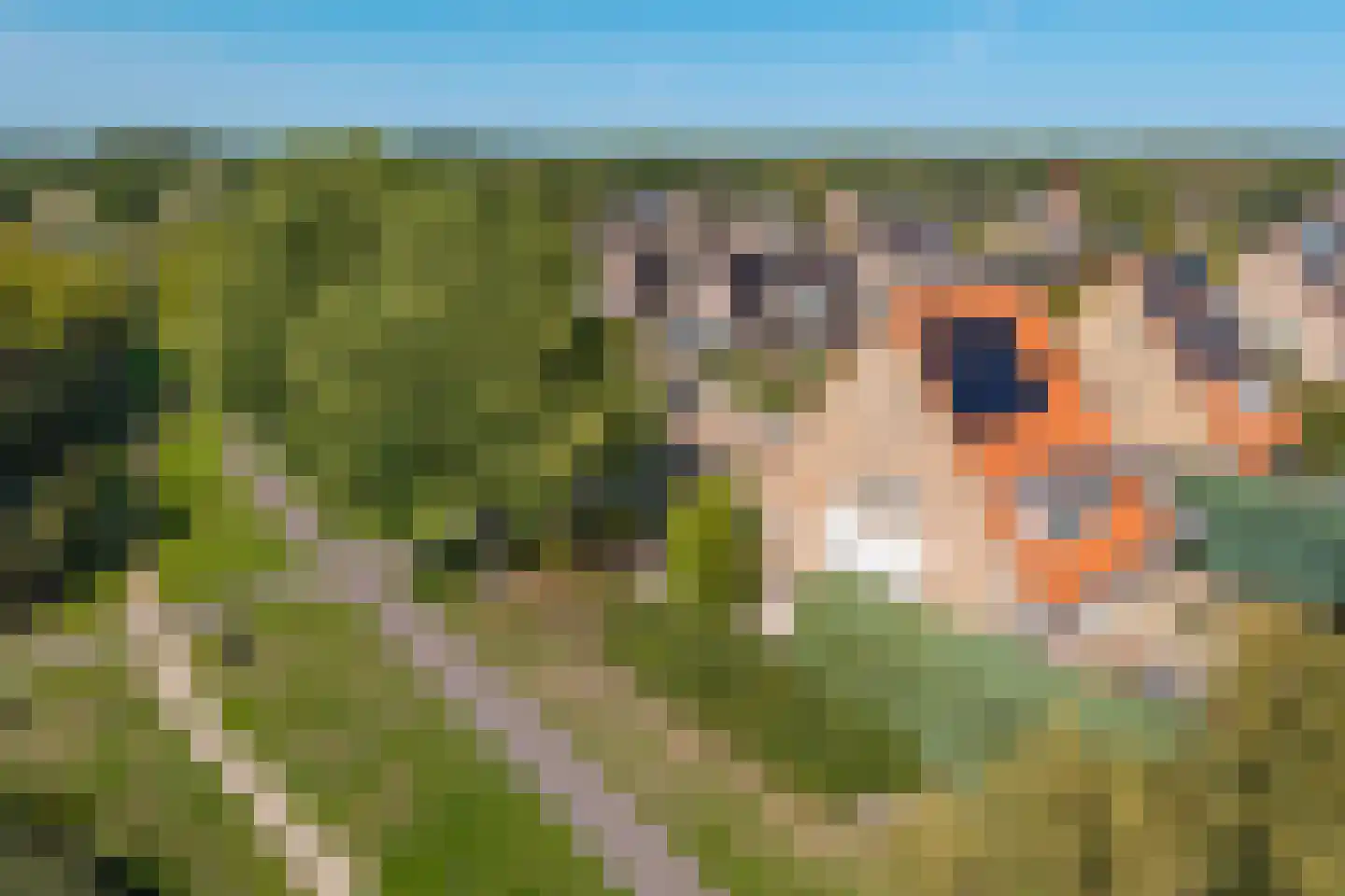 Aventurijndreef 2 Emmen thumbnail 46
