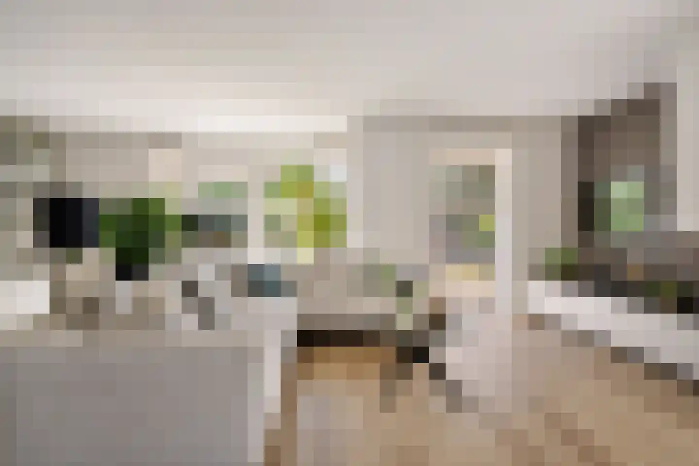 Aventurijndreef 2 Emmen thumbnail 8