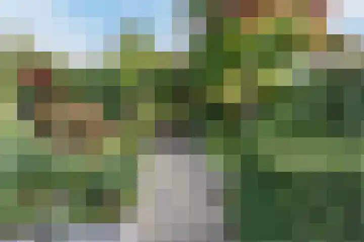 Avenue 4 Almelo thumbnail 39