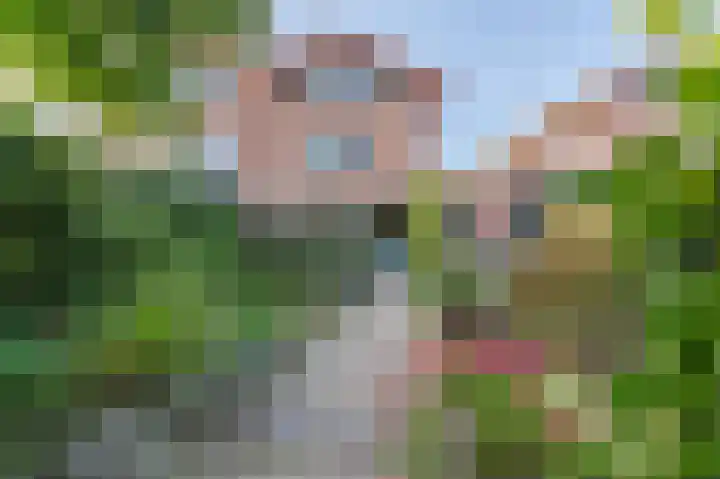 Avenue 4 Almelo thumbnail 41