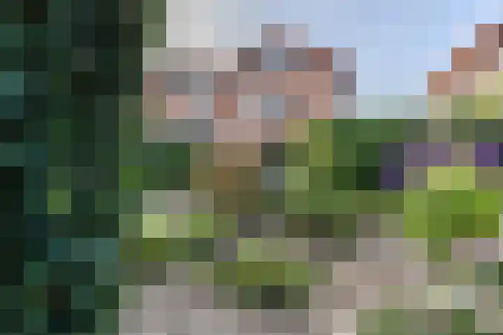 Avenue 4 Almelo thumbnail 42