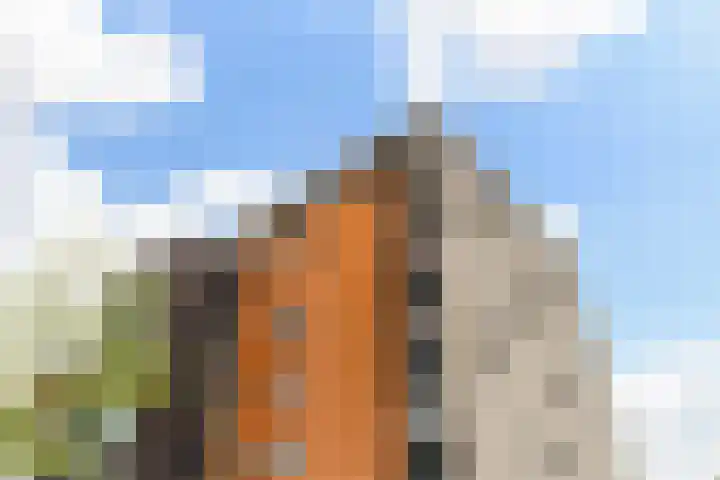 Avenue Carnisse 122 Barendrecht thumbnail 37