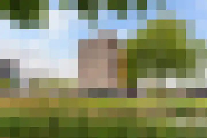 Avenue Carnisse 122 Barendrecht thumbnail 39
