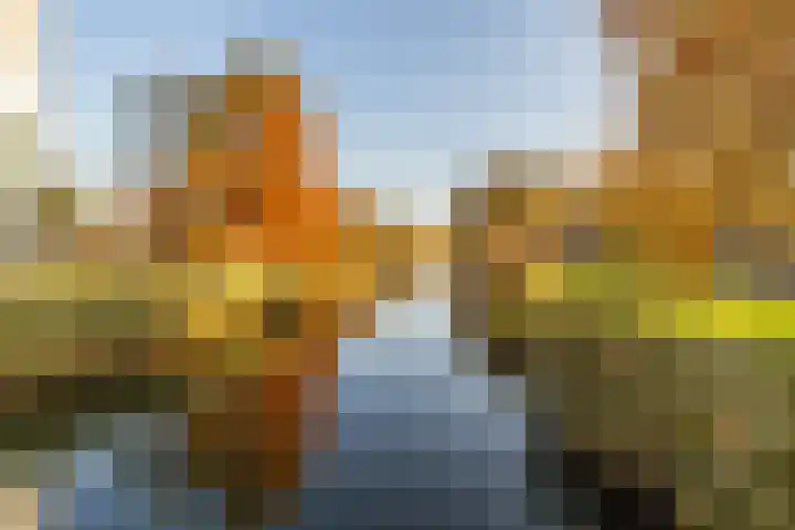 Avenue Carnisse 125 Barendrecht thumbnail 34
