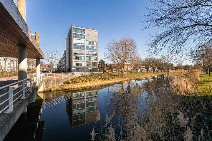 Avenue Carnisse 157 in Barendrecht Foto