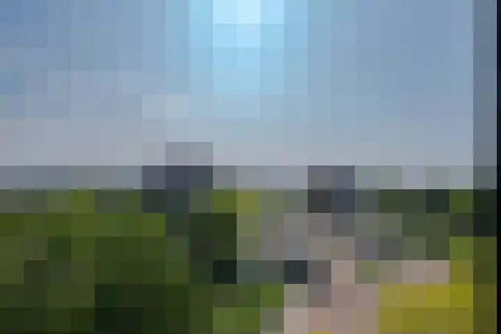 Avenue Carnisse 163 Barendrecht thumbnail 5