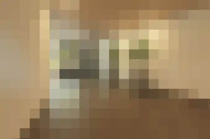 Avenue Carnisse 172 Barendrecht thumbnail 32