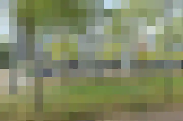 Avenue Carnisse 172 Barendrecht thumbnail 40