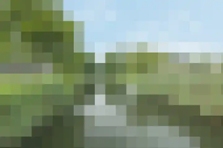 Avenue Carnisse 172 Barendrecht thumbnail 6