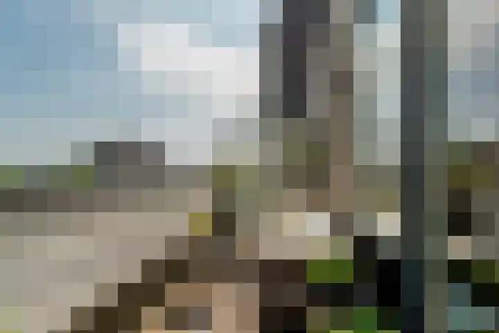 Avenue Carnisse 180 Barendrecht thumbnail 27