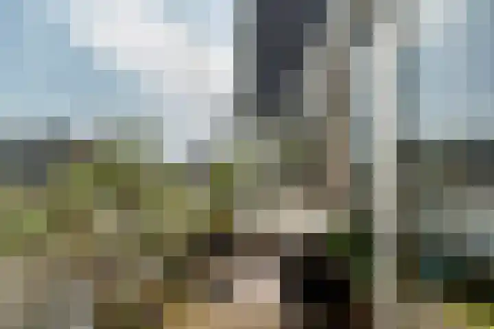Avenue Carnisse 180 Barendrecht thumbnail 5