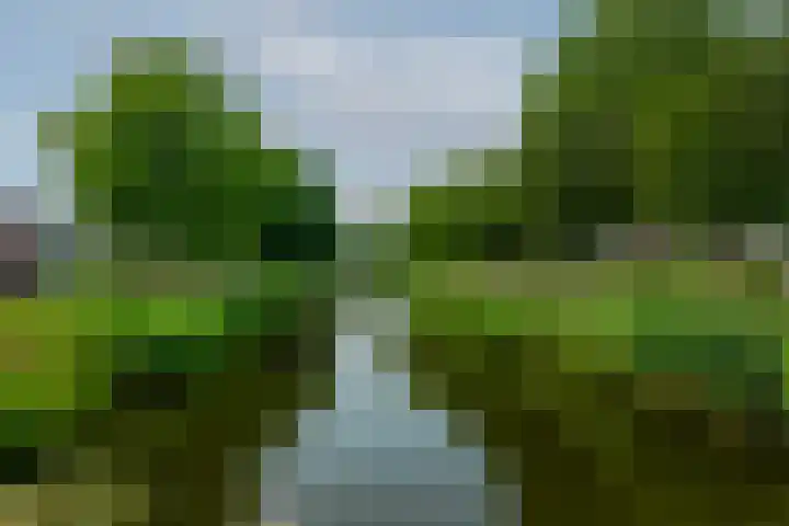 Avenue Carnisse 180 Barendrecht thumbnail 6