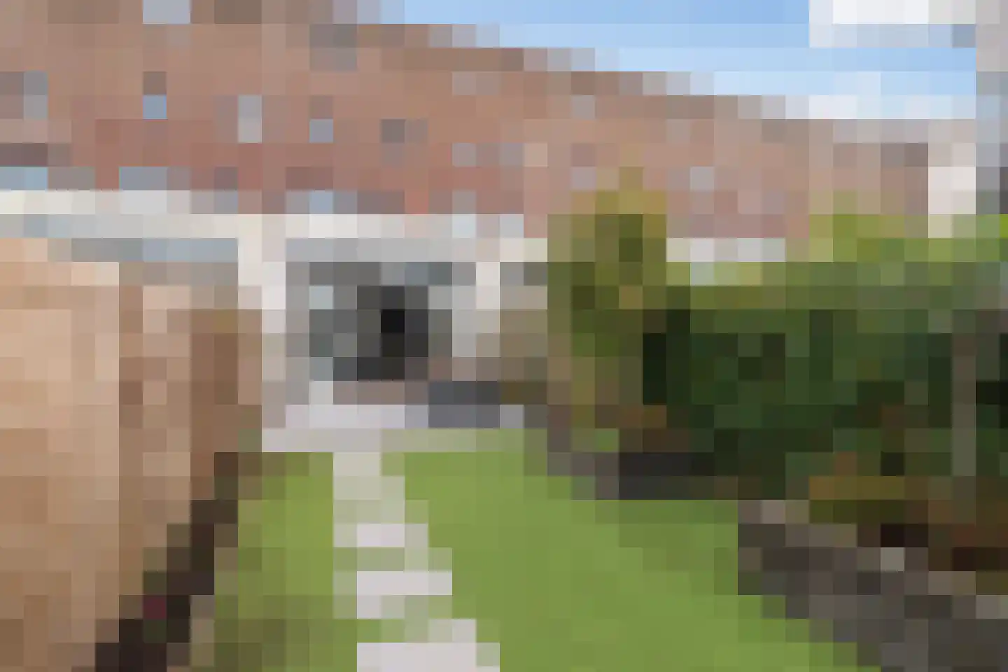 Avenue Carnisse 198 Barendrecht thumbnail 26