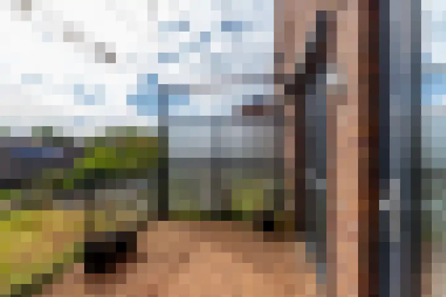 Avenue Carnisse 219 Barendrecht thumbnail 43