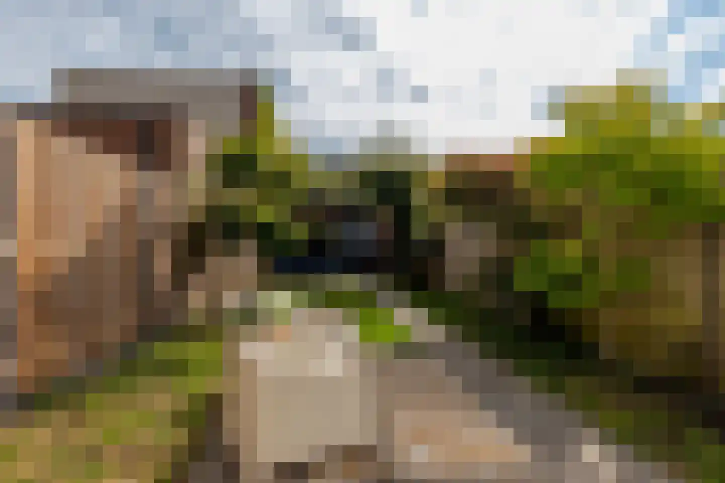 Avenue Carnisse 219 Barendrecht thumbnail 46