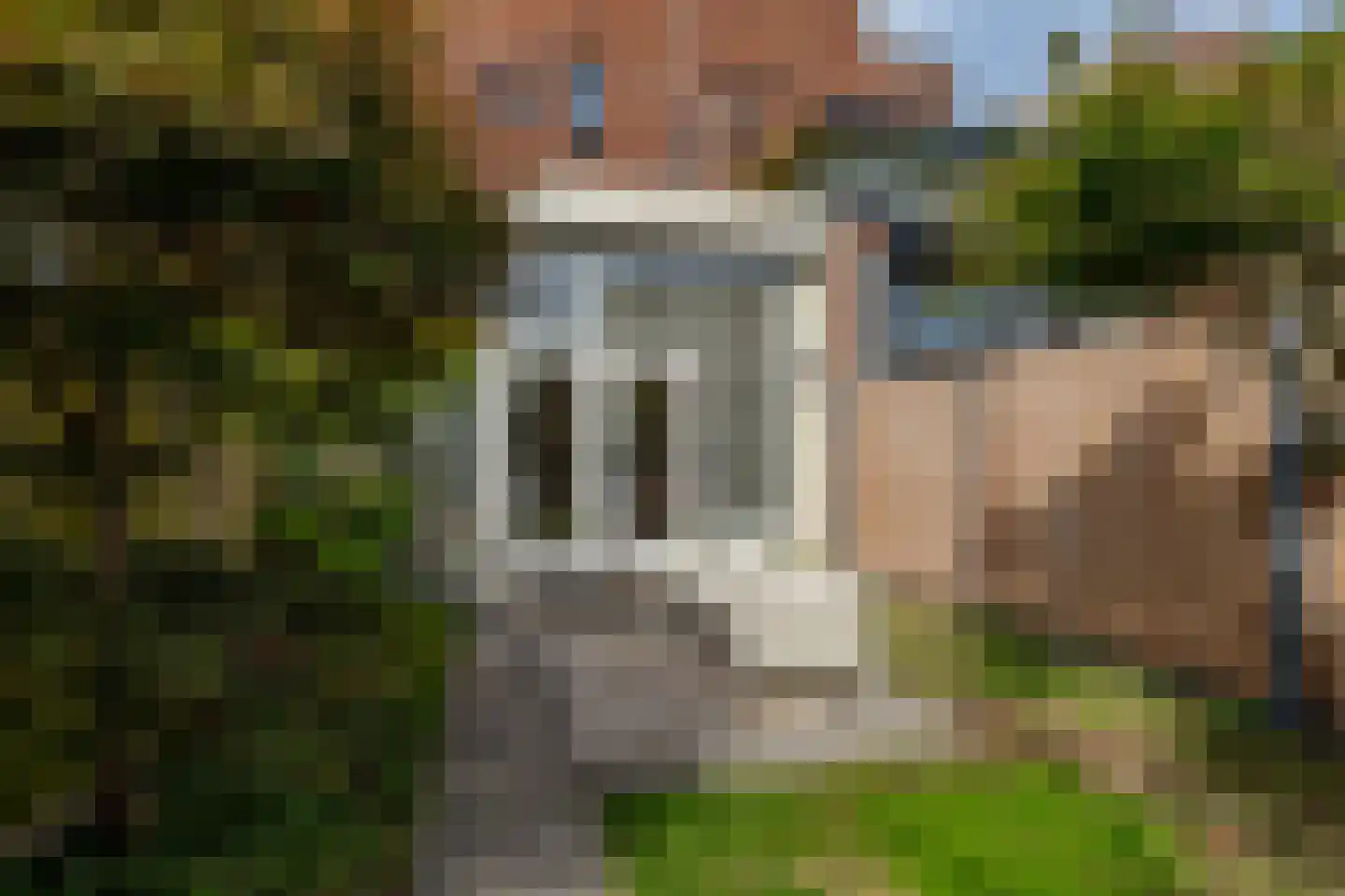 Avenue Carnisse 219 Barendrecht thumbnail 47