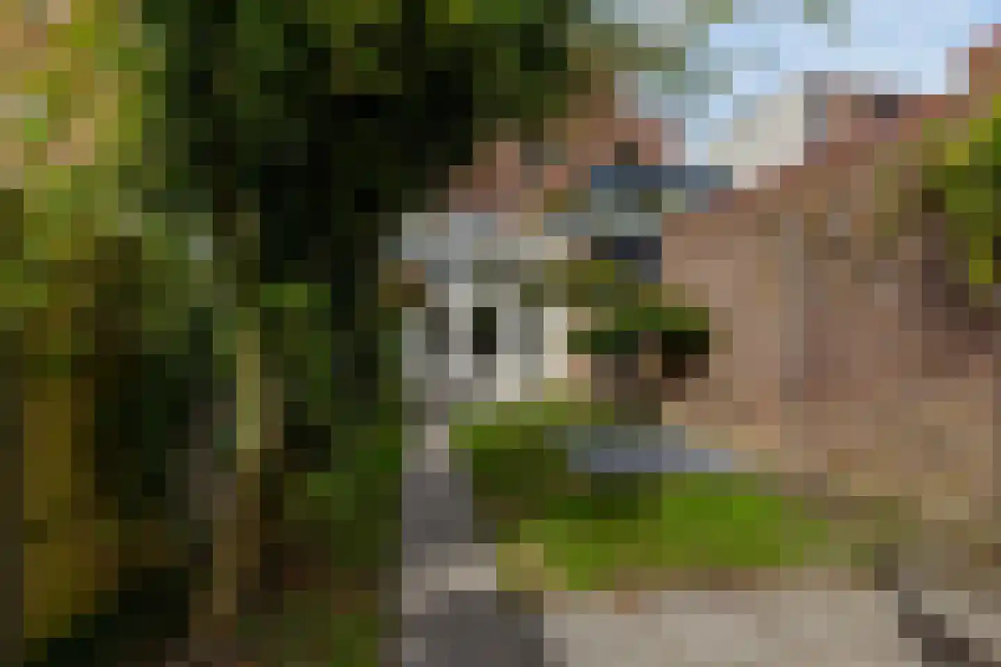 Avenue Carnisse 219 Barendrecht thumbnail 48