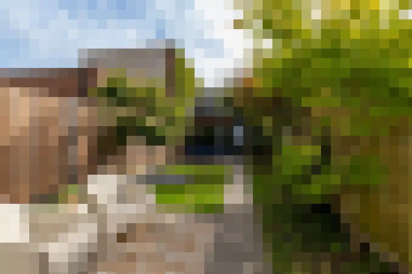 Avenue Carnisse 219 Barendrecht thumbnail 7