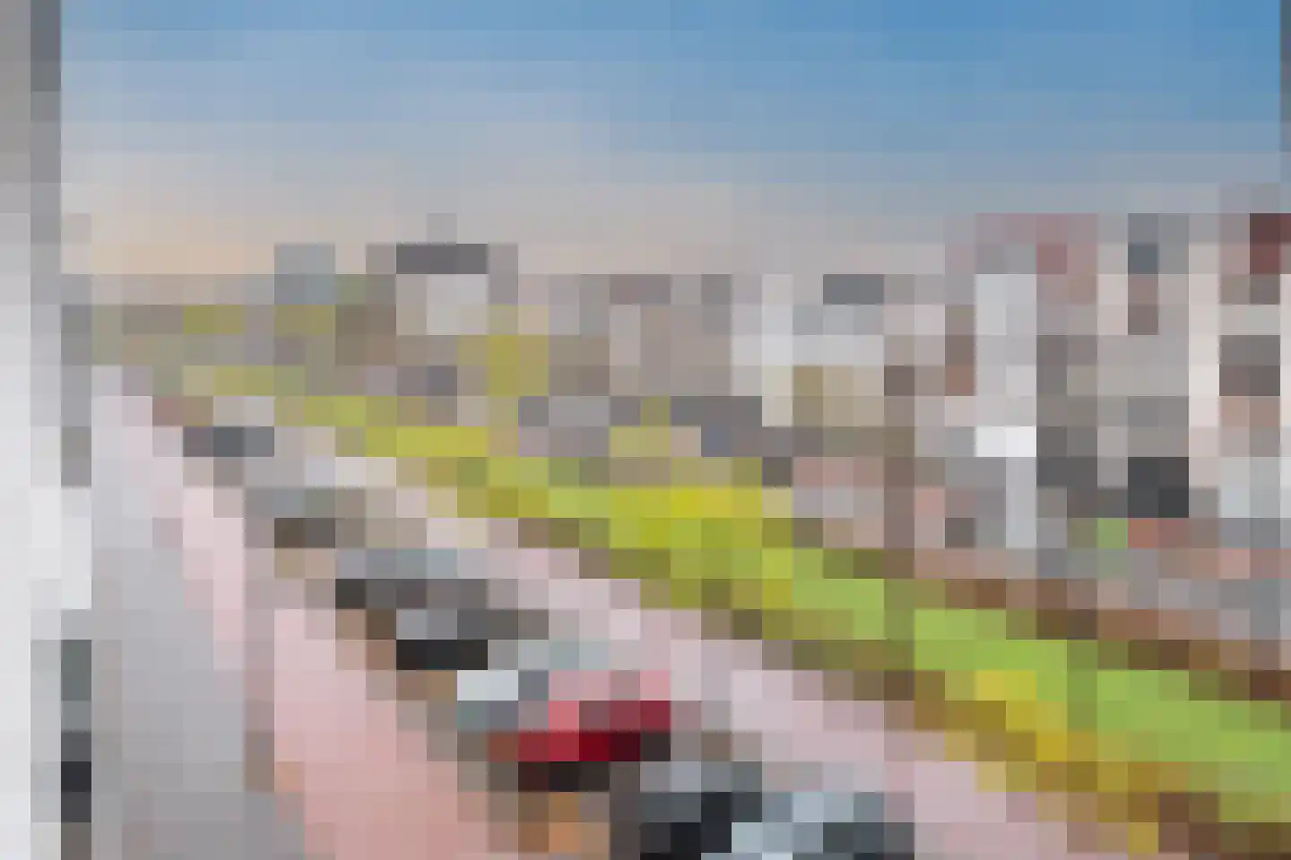 Avenue Carnisse 28 Barendrecht thumbnail 34