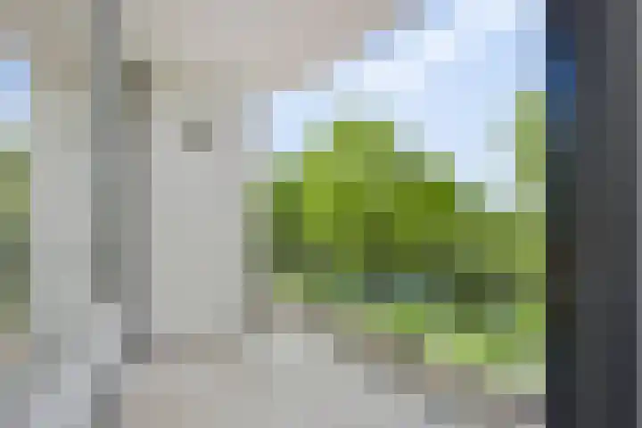 Avenue Carnisse 296 Barendrecht thumbnail 16