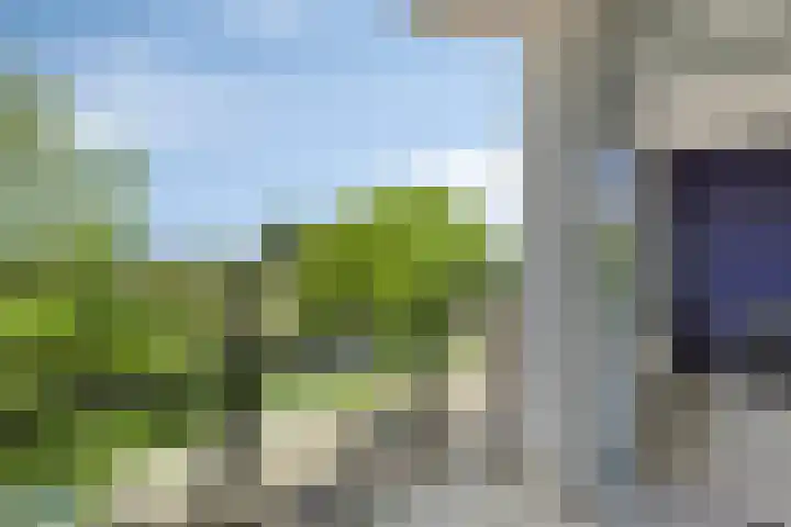 Avenue Carnisse 296 Barendrecht thumbnail 17