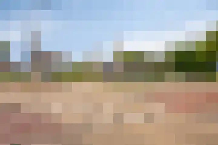Avenue Carnisse 296 Barendrecht thumbnail 36