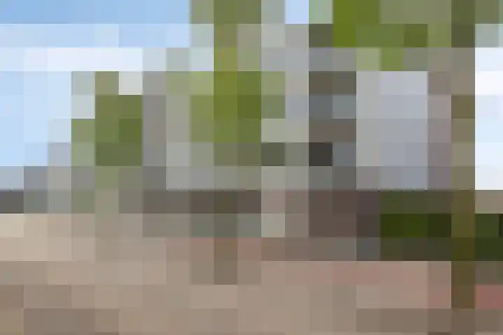 Avenue Carnisse 296 Barendrecht thumbnail 4