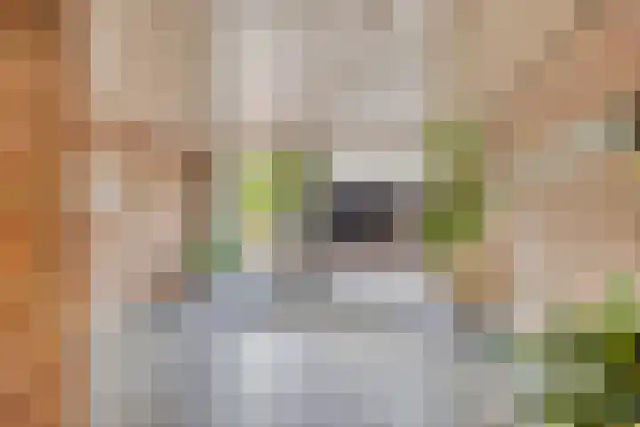 Avenue Carnisse 296 Barendrecht thumbnail 8